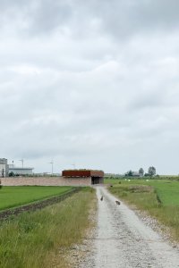 Komunitní zahrada Hage, studio Brendeland & Kristoffersen, inženýři Price a Myers, 2021