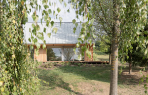 Okno do hlavní obytné místnosti, terasa, stromy. (Dům mezi stromy; Studio COSMO)