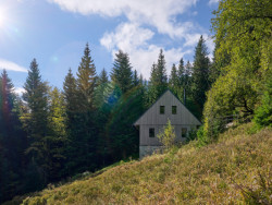 Právě strmý svah definoval i technologii výstavby, stavba se seskládala z CLT panelů. (Chalupa Na Kukačkách; edit! architects)