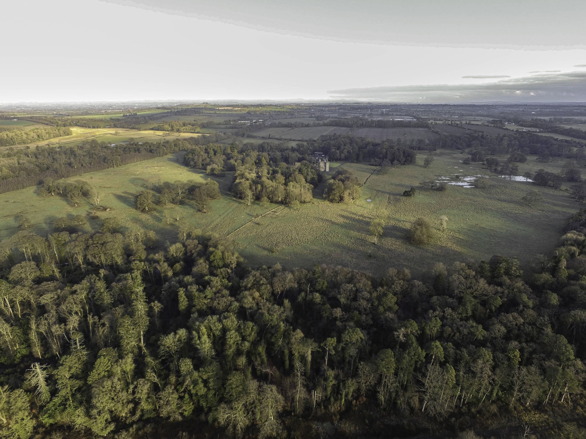 Ve čtvrtek 7. listopadu proběhne přednáška spolku Kruh s názvem Návrat divočiny do krajiny.