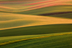 Dechberoucí krajina v okolí obce Šardice ji zařadila mezi 50 nejkrásnějších míst na Zemi dle časopisu Condé Nast Traveller