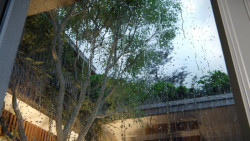 Realistické vizualizace v programu Lumion