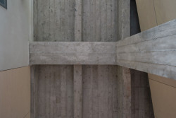 PROGRES ARCHITEKTI - Byt + byt: Odhalený betonový skelet