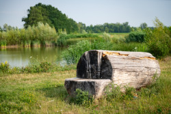 Nadace Partnerství zahájila přihlašování do pátého ročníku soutěže Adapterra Awards