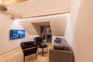 0,5 Studio, Chytrý apartmán U Venuše - foto