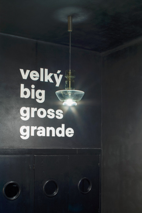 Rekonstrukce kina Světozor, SKUPINA/ Marcela Steinbachová, Vít Holý