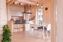 Rodinný dům Veterná Poruba, Prodesi/Domesi