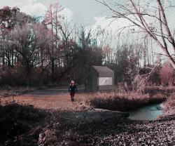 Krajina Vinoře, Karolína Spálenská.