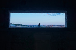 Pokračuje rekonstrukce pražského hotelu InterContinental pod vedením Marka Tichého z TaK architects