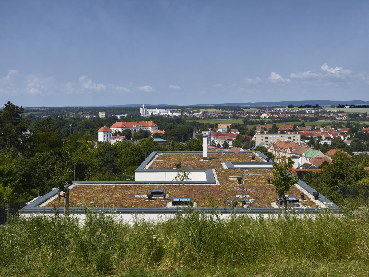 Vila téměř splývá s krajinou. (Vila zasazená do krajiny vinohradu; Atelier RAW)