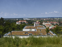 Vila téměř splývá s krajinou. (Vila zasazená do krajiny vinohradu; Atelier RAW)