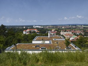 Vila téměř splývá s krajinou. (Vila zasazená do krajiny vinohradu; Atelier RAW)