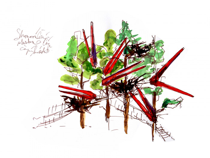 Herní krajina Pecka, Matěj Hájek a Tereza Kučerová (Moloarchitekti s.r.o), skica stromovky