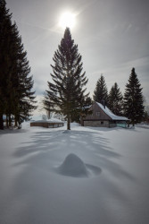 Skleněná chalupa v Jizerských horách od studia Mjölk