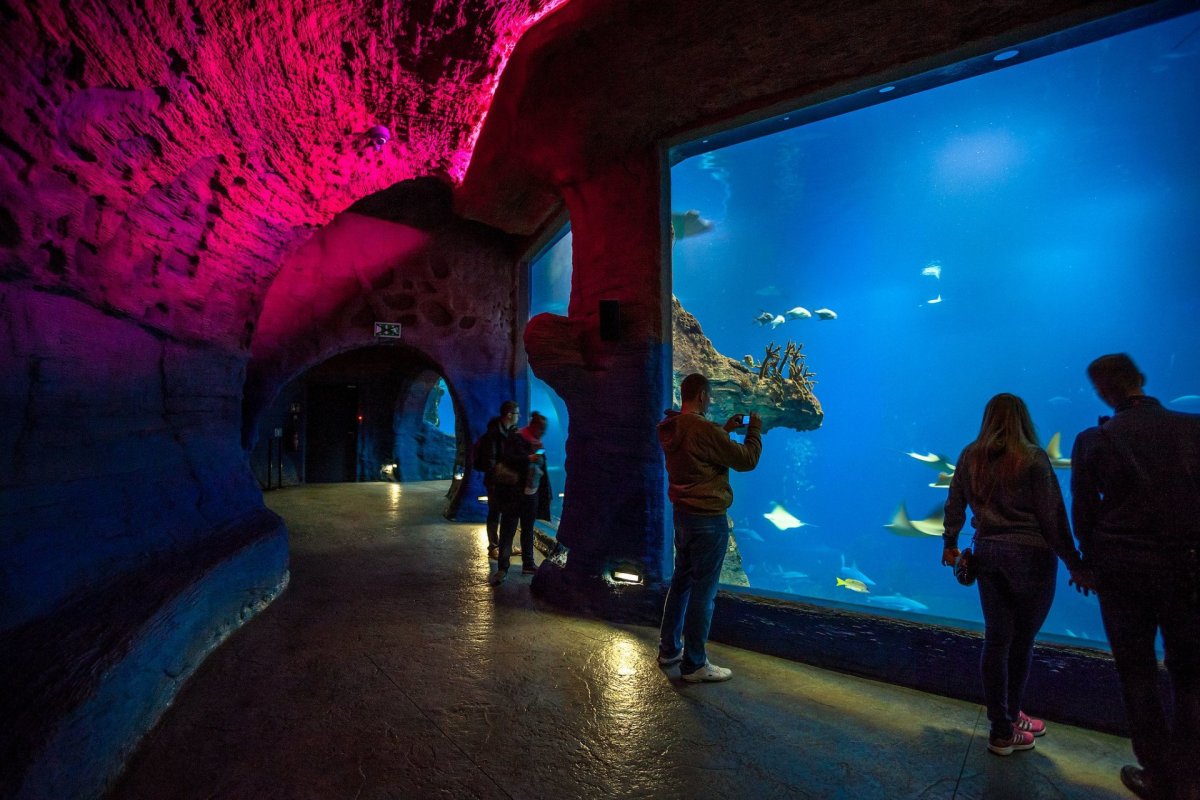 Afrykarium ve Vroclavi