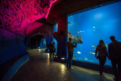 Afrykarium ve Vroclavi