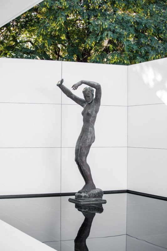 Mies Missing Materiality