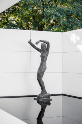 Mies Missing Materiality