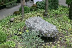 Subtile, Federico Díaz,