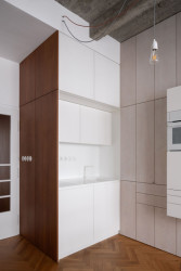 Nová kuchyně  (Rekonstrukce funkcionalistického bytu v Praze, architekt Martin Čeněk)