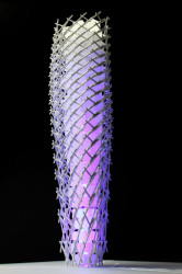 NOSCALE architects, Tensegrity Tower, projekt