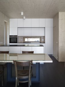 Rodinný dům u Slapské přehrady, Stempel & Tesar architekti - foto