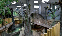 Tropický pavilon v ZOO Jihlava, interiér, vnitřní povrchy jsou z torkretovaného betonu – foto