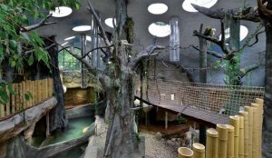 Tropický pavilon v ZOO Jihlava, interiér, vnitřní povrchy jsou z torkretovaného betonu – foto