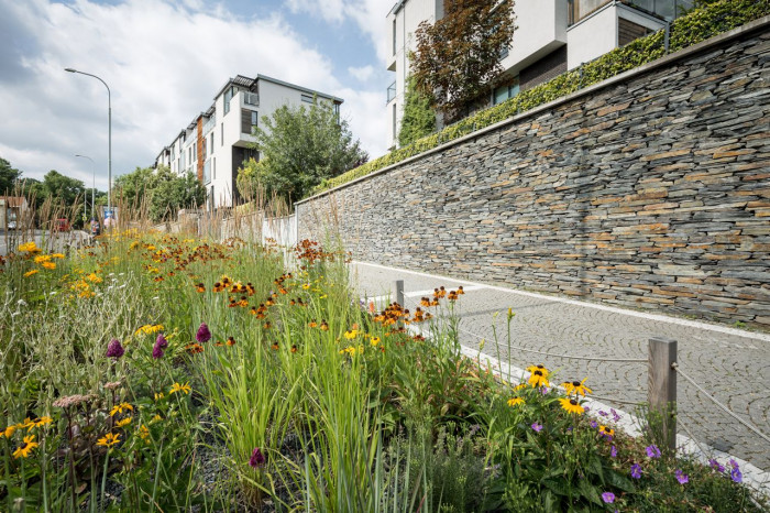 Šmídová Landscape Architects, Extenzivní trvalkový záhon v Italské ulici - foto
