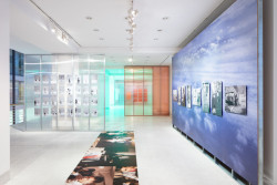 Pohled do výstavy (Výstava Libuše Jarcovjaková, ateliér AnnaMAT)