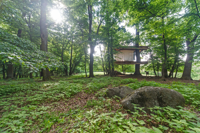 Tree House, Jan Tyrpekl