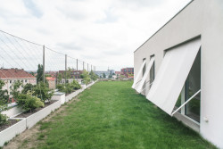 Na střeše je 40 cm hlíny, kolem keře. (Nástavba se zahradou v Praze-Dejvicích, Nácházel architekti)
