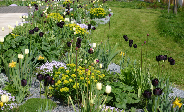 Rodinný dům ve Vraném nad Vltavou, zahrada, Kontinual,