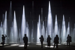 Laurian Ghinitoiu: Forest of light Milan 2016