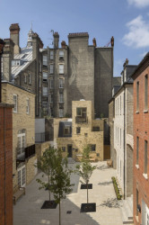 Sociální bydlení Mount Pleasant od Peter Barber Architects