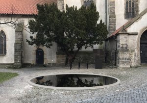 Dlaň sv. Ludmily,