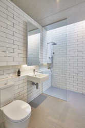 MODSCAPE., Berry - foto