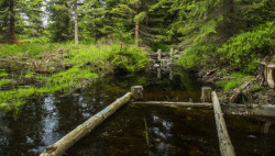 Jako speciální počin za péči o vodu v krajině byly oceněny mokřady Správy KRNAP.