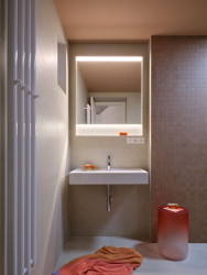 Pohled do koupelny (Rekonstrukce pavlačového domu v Praze-Nuslích, Plus One Architects) 