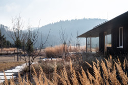 Atelier Flera k zahradě říká, že ji navrhnul tak, aby vypadala dobře po celý rok. (Zahrada rodinného domu u vodní nádrže Kamýk, Atelier Flera)