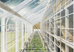 Václav Mihola (FA VUT), ANNAHOF // 17. Přehlídka diplomových prací, čestné uznání – foto