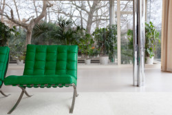 Vila Tugendhat v Brně od Miese van der Rohe na fotografiích Alexandry Timpau