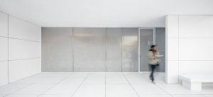 Mies Missing Materiality