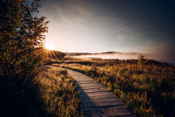 Naučná stezka Olšina od studia Reaktor