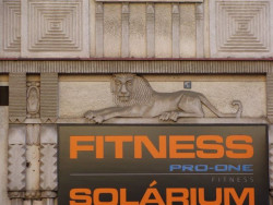 Vinohradská, detail – foto