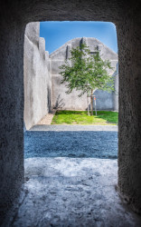 Moruše uprostřed místnosti bez stropu a bez střechy jako symbol svobody, naděje a síly rodu Mašínů