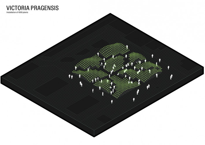 Victoria Pragensis, diagram instalace, llj architects/ Haenke