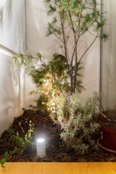 Rekonstrukce ostravského bytu od studia Tvary