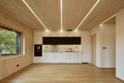 Uvnitř se opakuje rastr latí, ale v přírodním odstínu. (Dům ve Vraném nad Vltavou, 0,5 Studio)