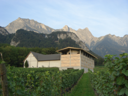 Vinařství Gantenbein, Gramazio & Kohler + Bearth & Deplazes Architekten